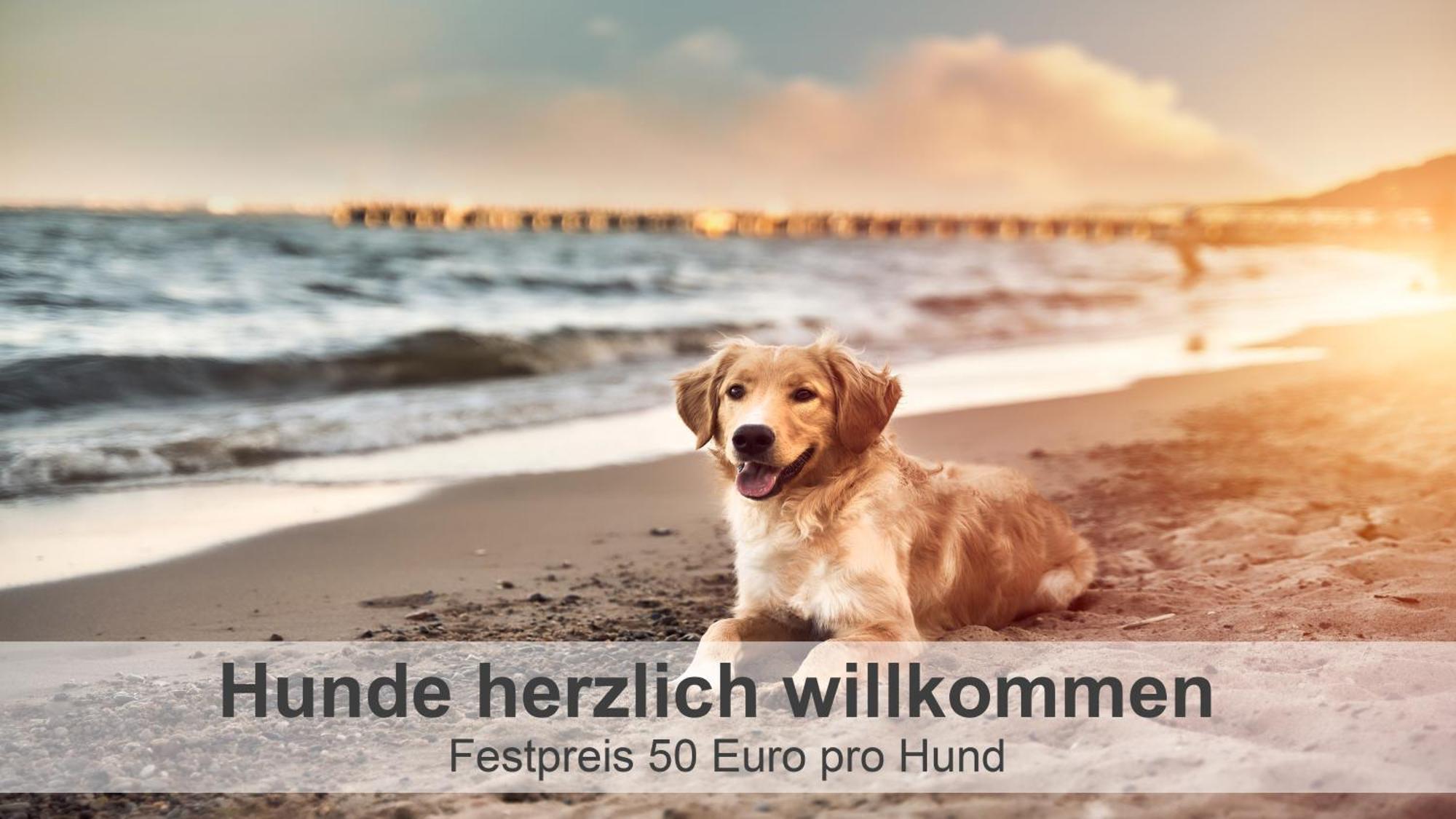 Ferienwohnung Gulfhof-Ferien Briese Großheide Exterior foto